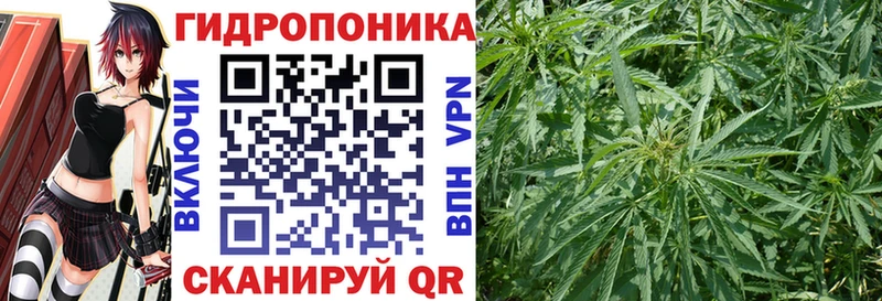 Цена Сосновый Бор КОКАИН  МЕФ  Гашиш 