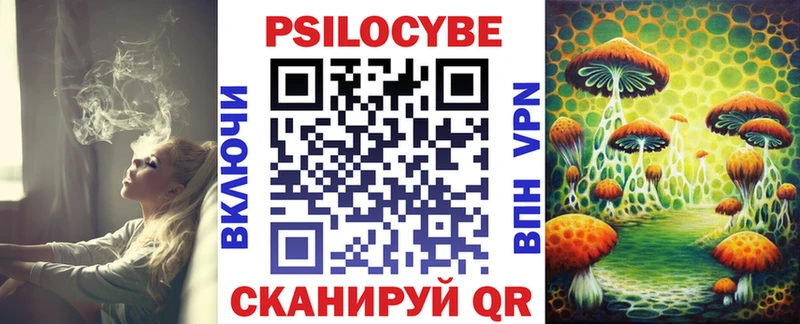 Псилоцибиновые грибы мухоморы  купить  сайты  МЕГА сайт  Сосновый Бор 